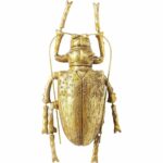Wall Object Longicorn Beetle Gold
