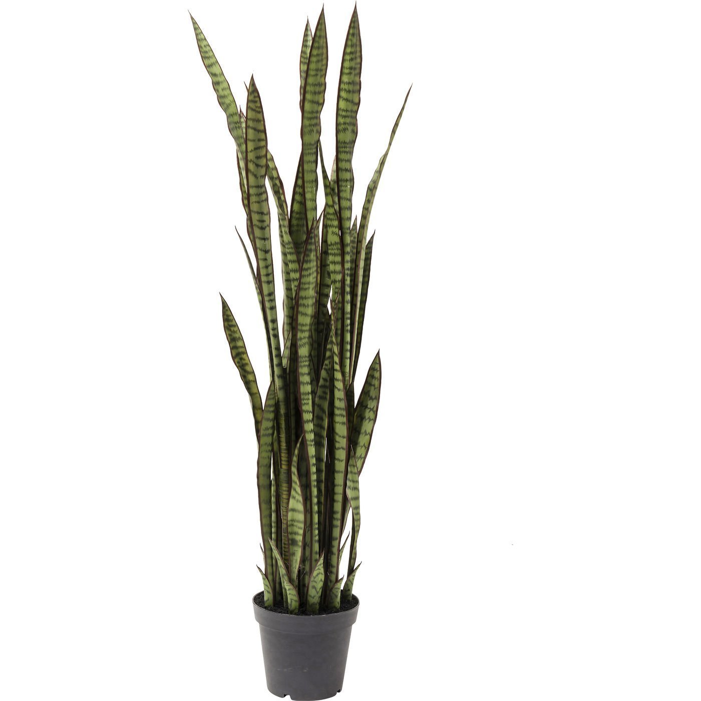 KARE-60718-1400x1400 Deco Plant Sansewieria 155cm - Image 1