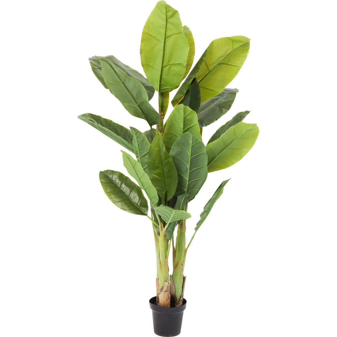 KARE-64003-1400x1400 Deco Plant Banana Tree 180cm - Image 1