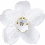 Wall Object Orchid White 54cm