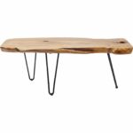 Coffee Table Aspen Nature 100x40cm