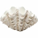 Deco Vase Concha 29cm