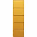 Shoe Container Caruso 5 Yellow (MO)