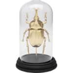 Deko Object Hercules Beetle 20cm