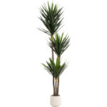 Deco Plant Yukka 250m