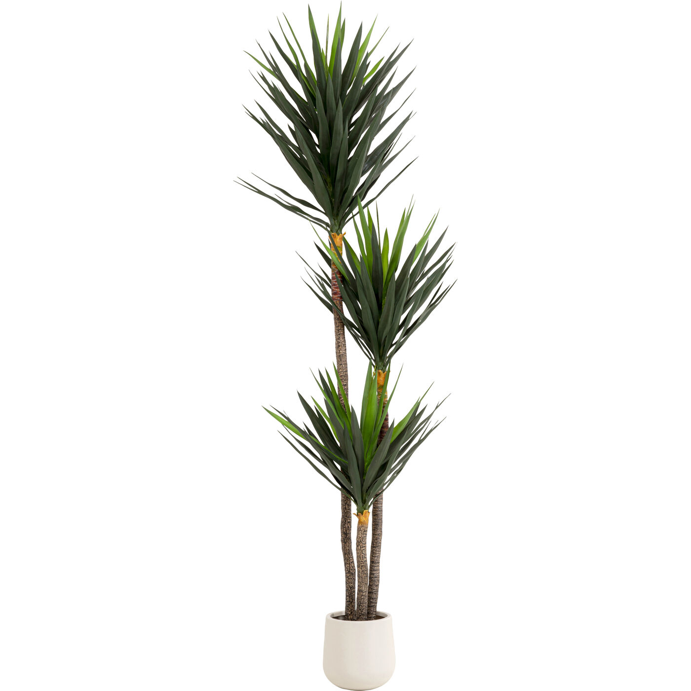 KARE-58435-1400x1400 Deco Plant Yukka 250m - Image 1