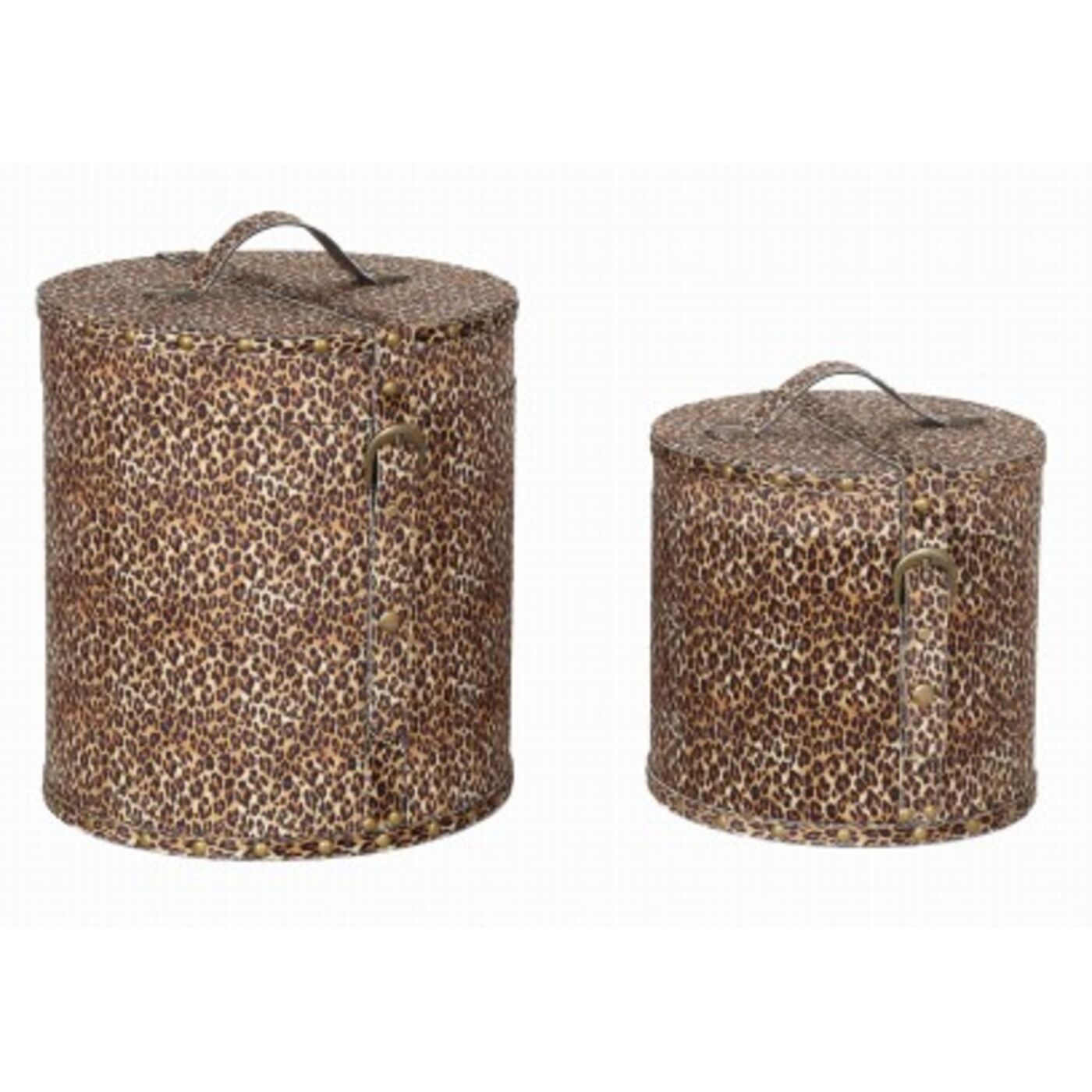 KARE-58249-1400x1400 Box Wild Animal Leo (2/Set) - Image 1
