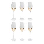 Champagne Glass Gobi (6/Set)
